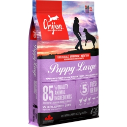 ORIJEN Puppy Large 6KG